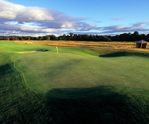 golf green